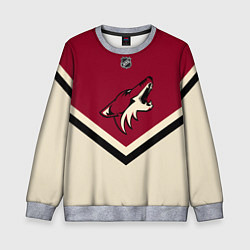 Свитшот детский NHL: Arizona Coyotes, цвет: 3D-меланж