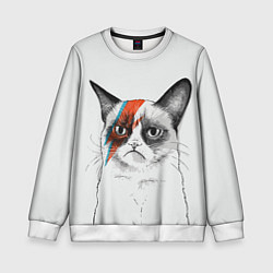 Детский свитшот David Bowie: Grumpy cat