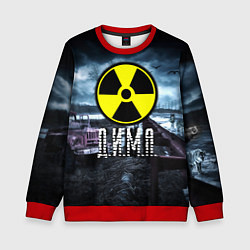 Свитшот детский S.T.A.L.K.E.R: Дима, цвет: 3D-красный