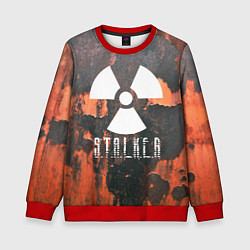 Свитшот детский S.T.A.L.K.E.R: Orange Toxic, цвет: 3D-красный