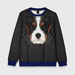 Свитшот детский Cavalier King Charles, цвет: 3D-синий