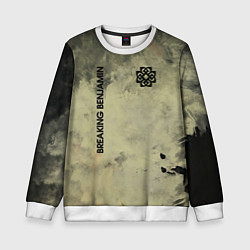 Детский свитшот Breaking Benjamin