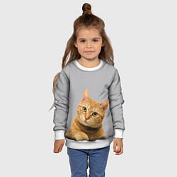 Свитшот детский Рыжий котик, цвет: 3D-белый — фото 2