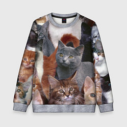 Свитшот детский КОТЯТКИ, цвет: 3D-меланж