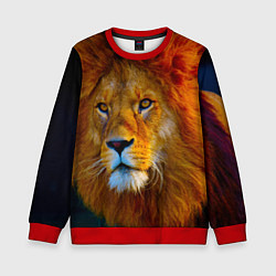 Свитшот детский Лев 3D, цвет: 3D-красный