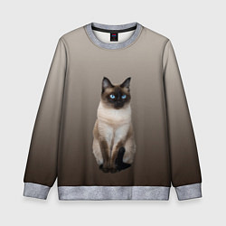 Свитшот детский Сиамский кот голубые глаза, цвет: 3D-меланж
