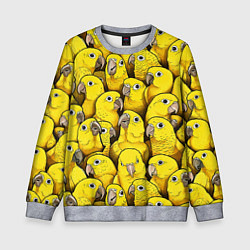 Свитшот детский Попугаи, цвет: 3D-меланж