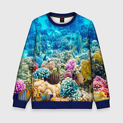 Свитшот детский Риф, цвет: 3D-синий