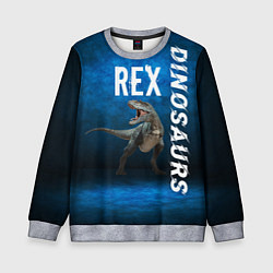 Свитшот детский Dinosaurs Rex 3D, цвет: 3D-меланж