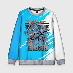 Детский свитшот Dragon!