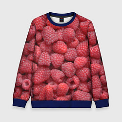 Свитшот детский Малина - ягоды, цвет: 3D-синий