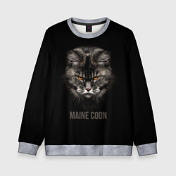 Свитшот детский Maine coon - кот, цвет: 3D-меланж