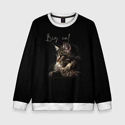 Свитшот детский Big cat Maine Coon, цвет: 3D-белый