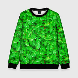 Детский свитшот Зелёные листья - текстура
