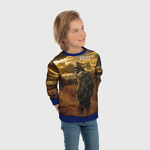 Детский свитшот STALKER В Поле / 3D-Синий – фото 3