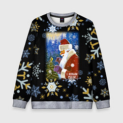 Свитшот детский Новый год дед мороз и птичка, цвет: 3D-меланж