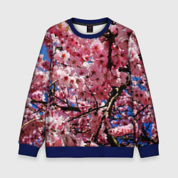 Свитшот детский Дерево Черри Блоссом, цвет: 3D-синий