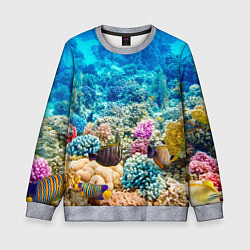 Свитшот детский Дно морское, цвет: 3D-меланж