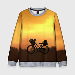 Свитшот детский Велосипед на закате, цвет: 3D-меланж