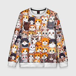 Детский свитшот Очень много котиков