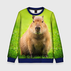 Свитшот детский Capybara on green grass, цвет: 3D-синий