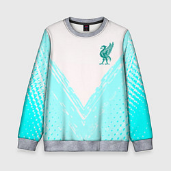 Свитшот детский Liverpool logo texture fc, цвет: 3D-меланж