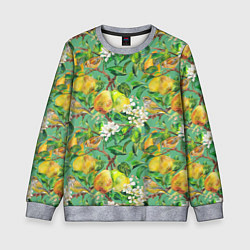 Детский свитшот Груши и птицы