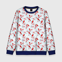Свитшот детский Красны кардиналы и ягоды рябины, цвет: 3D-синий