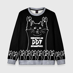 Свитшот детский ДДТ: рок кот, цвет: 3D-меланж