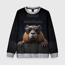 Свитшот детский Фанат капибары, цвет: 3D-меланж