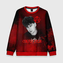 Свитшот детский Сектор газа красный фон, цвет: 3D-красный