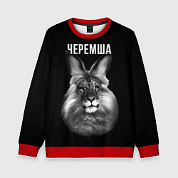 Свитшот детский Черемша мем, цвет: 3D-красный