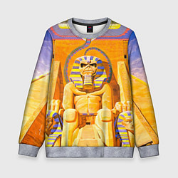 Свитшот детский Iron Maiden: Pharaon, цвет: 3D-меланж