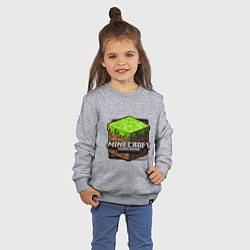 Свитшот хлопковый детский Minecraft: Pocket Edition, цвет: меланж — фото 2