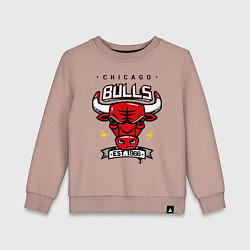 Свитшот хлопковый детский Chicago Bulls est. 1966, цвет: пыльно-розовый
