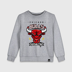 Свитшот хлопковый детский Chicago Bulls est. 1966, цвет: меланж