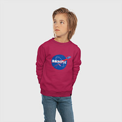 Свитшот хлопковый детский NASA Delorean 88 mph, цвет: маджента — фото 2