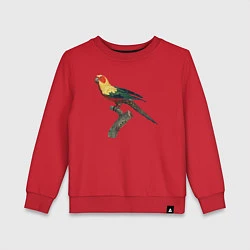 Свитшот хлопковый детский Попугай аратинга, цвет: красный