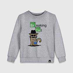 Свитшот хлопковый детский Breaking Cat, цвет: меланж