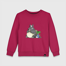 Детский свитшот Тоторо