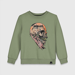 Свитшот хлопковый детский Metallica art 04, цвет: авокадо