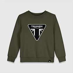 Свитшот хлопковый детский Triumph Мото Лого Z, цвет: хаки