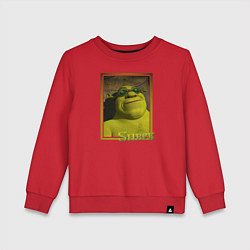 Свитшот хлопковый детский Шрек в очках, цвет: красный
