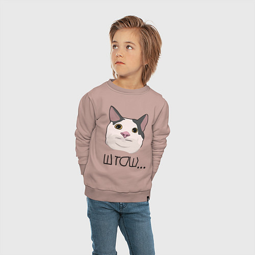 Детский свитшот ШТОШ / Пыльно-розовый – фото 4