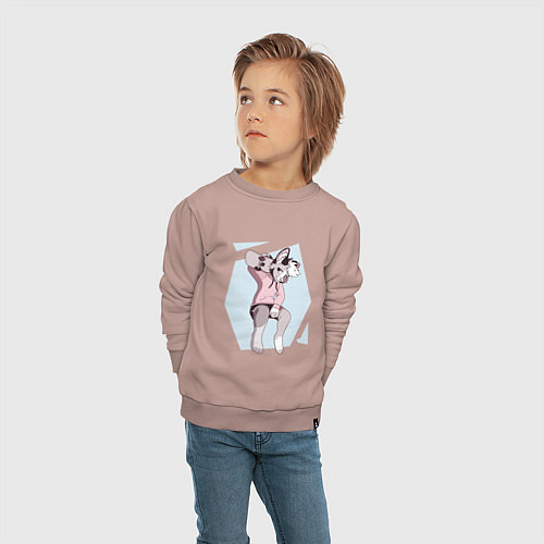 Детский свитшот Собака Фурри Furry / Пыльно-розовый – фото 4