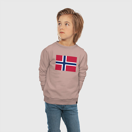 Детский свитшот Норвегия Флаг Норвегии / Пыльно-розовый – фото 4