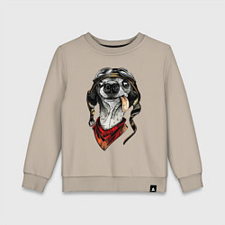 Свитшот хлопковый детский Biker dog, цвет: миндальный