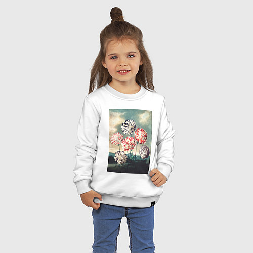 Детский свитшот A Group of Carnations Гвоздики / Белый – фото 3
