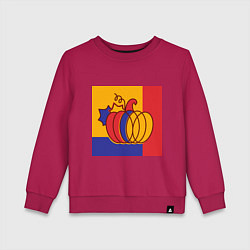 Свитшот хлопковый детский Тыква трехцветная винтаж, цвет: маджента