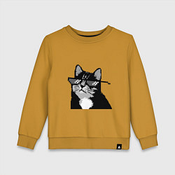 Детский свитшот Pixel coot cat in glasses